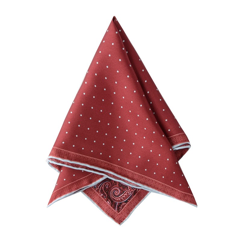 Hamocigia Fashion Handkerchief Paisley Floral Hanky Mens Suit Pocket Square