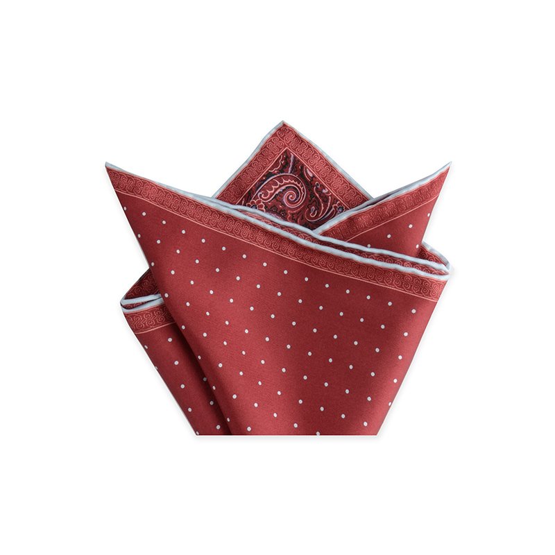Hamocigia Fashion Handkerchief Paisley Floral Hanky Mens Suit Pocket Square