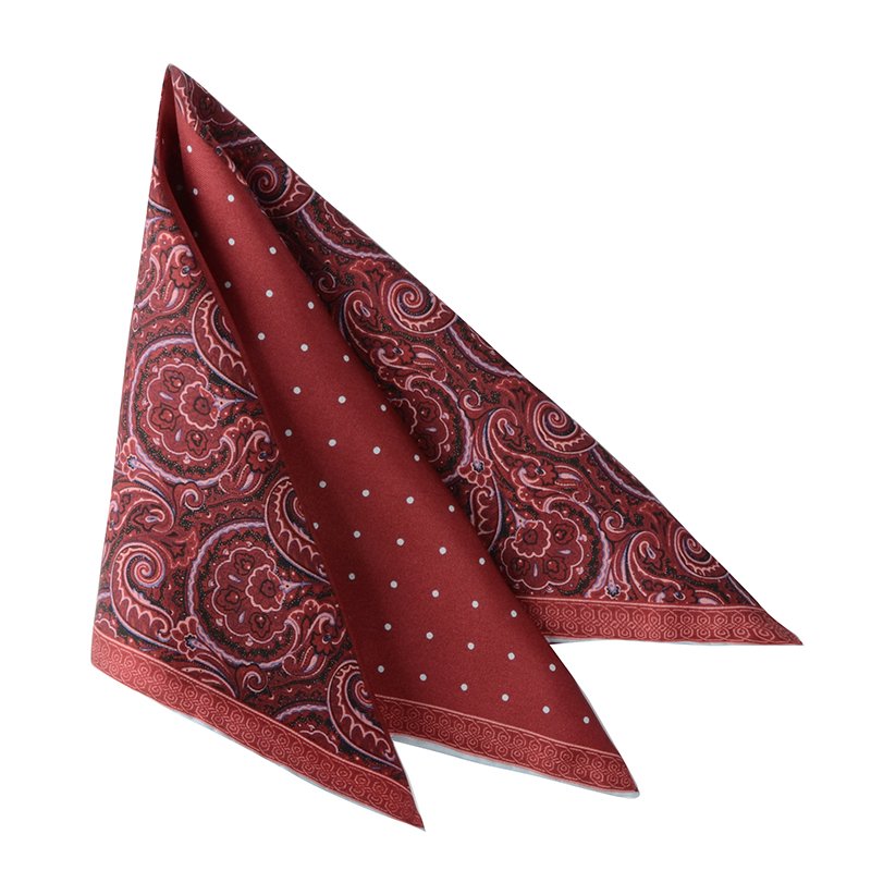 Hamocigia Fashion Handkerchief Paisley Floral Hanky Mens Suit Pocket Square