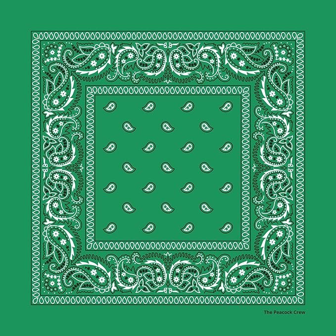 22 x 22 Inch Paisley Bandanas Multi Purpose Outdoor Scarf Headband Handkerchief for Men Women