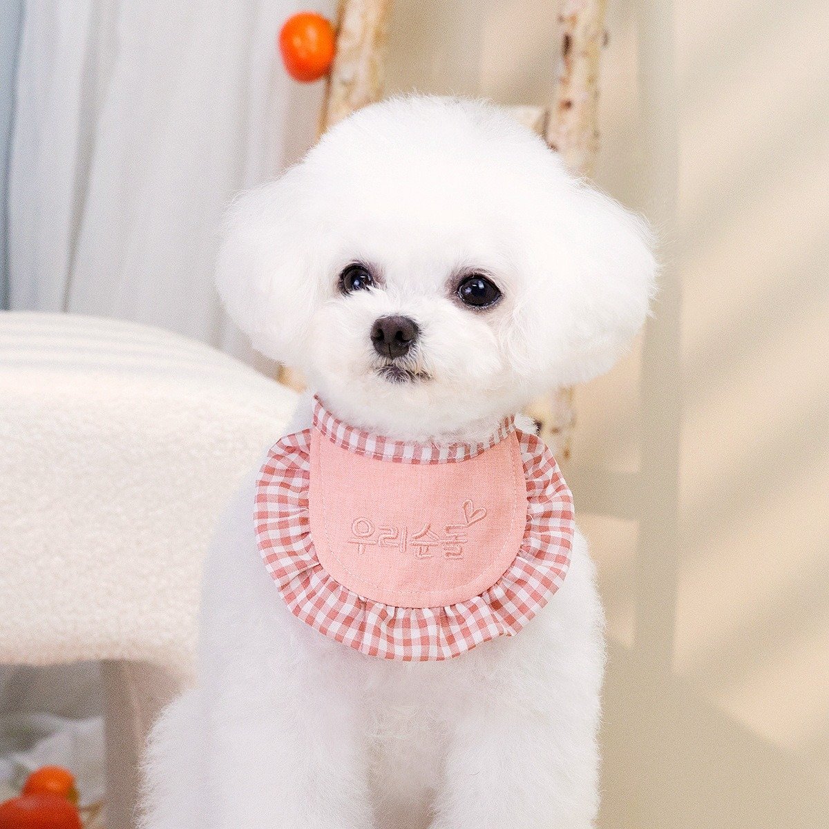 Cute Dog Bandana Puppy Cat Flower Scarfs Washable Daily Handkerchief Semicircle Scarf Bibs Saliva Towel