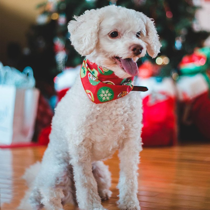 Joymay cheap high quality dog bandana Christmas Pet Triangle Bibs Checkered handkerchief for pet dog cats