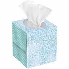 Oem Soft And Smooth 2-ply Facial Tissue X 180 Sheets - Convenient Disposable Facial Tissue With Moderate Size For Daily Use