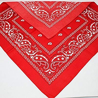 Novelty 22 X 22 Inch 100% Cotton Paisley Cowboy Bandana Party Favor Scarf Headband Handkerchiefs