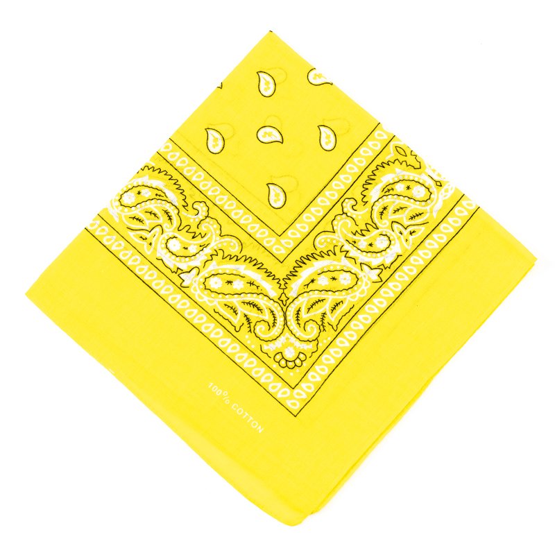 Multi-Purpose Party Outdoor Favor Scarf Headband Handkerchiefs for Unisex Women Men Boy Girls paisley Bandanas