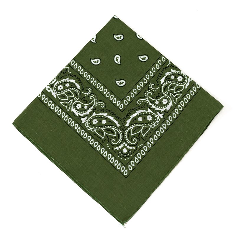 Multi-Purpose Party Outdoor Favor Scarf Headband Handkerchiefs for Unisex Women Men Boy Girls paisley Bandanas