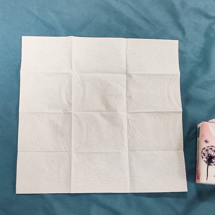 custom reasonable price travel size pocket sized facial handkerchief paper travel tissues 3 ply box pack pocket tissue
