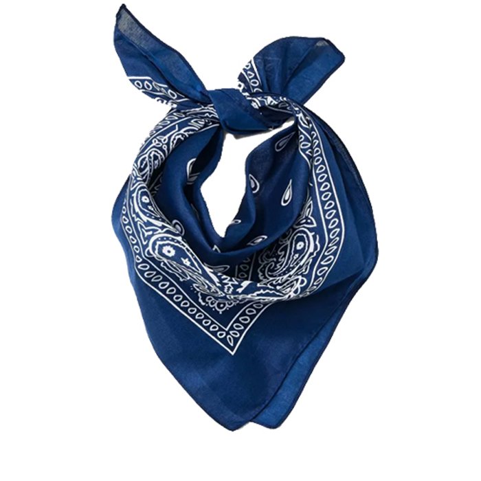 Honey Hair Scarf Party Favor Scarf Headband Handkerchiefs Double Sided Print Paisley Cowboy Bandana