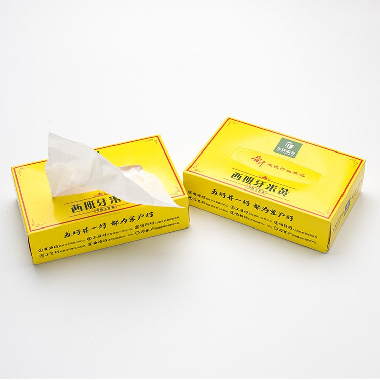 Plastic Packaging Paper Handkerchief