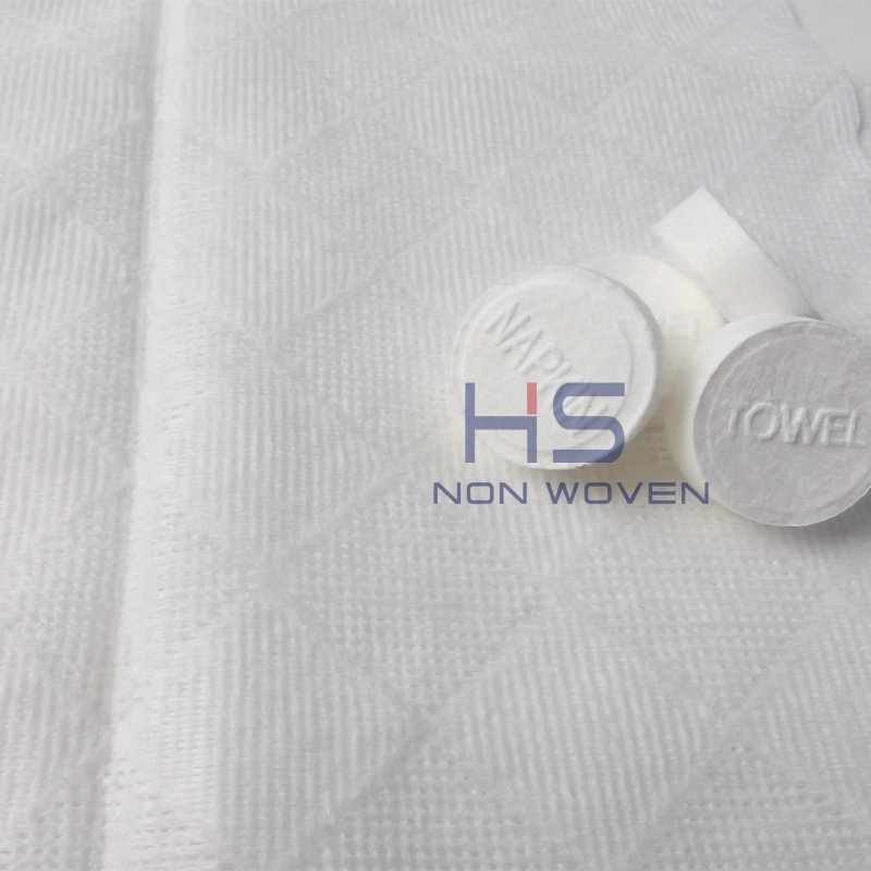 100%Viscose Nonwoven Cloth Compressed Towel & Handkerchief