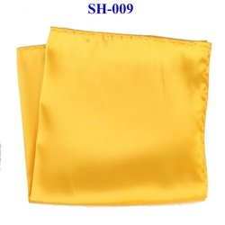 SH09