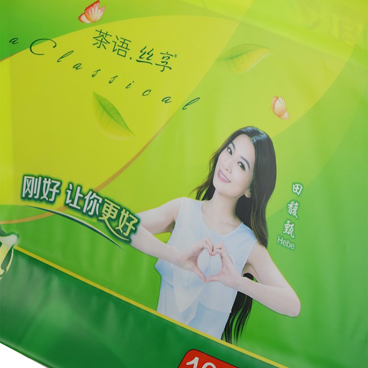 Wholesale Factory Price OEM Tissue Paper Napkin Facial Packet Plastic Packaging Bags With Handle