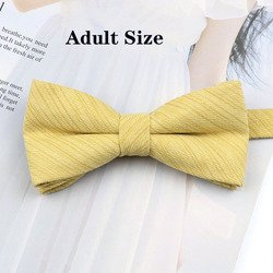 +BA33-Adult1