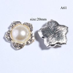 A61