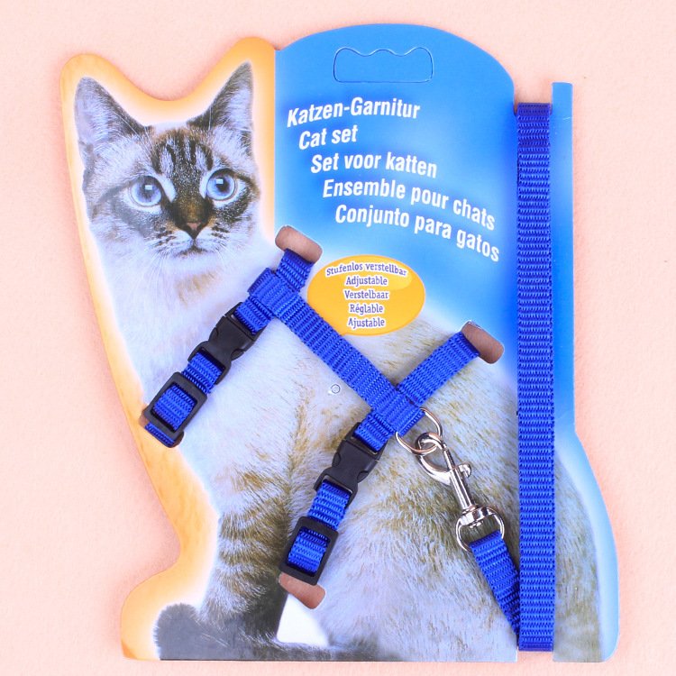 10mm recyclable Multi-functional Eco-friendly Plastic Buckle Bag Plastic Quick Side Release Buckle For Bag Pet Accessories