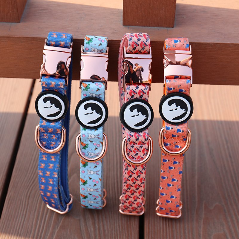 Silver rose gold metal buckle dog-collar quick release heavy duty metal buckle