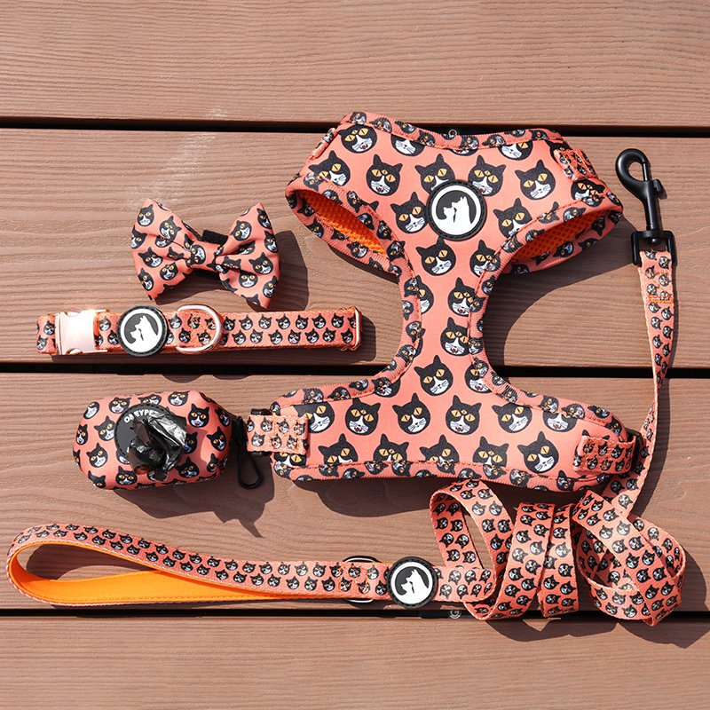 Silver rose gold metal buckle dog-collar quick release heavy duty metal buckle