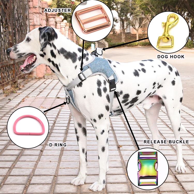 Custom Dog Collar Set Hardware High Quality Quick Side Release Buckle Manufacturer Wholesale 25mm Zinc Alloy Custom Color 50pcs