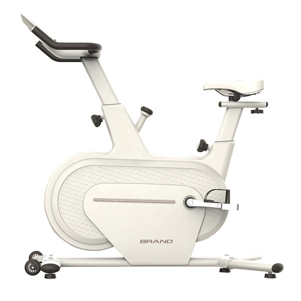 Mini Spinning Indoor Adjustable Exercise Rehabilitation Under Desk Bike Iwth Panel Magnetic Resistance Professioneel Spin Bike