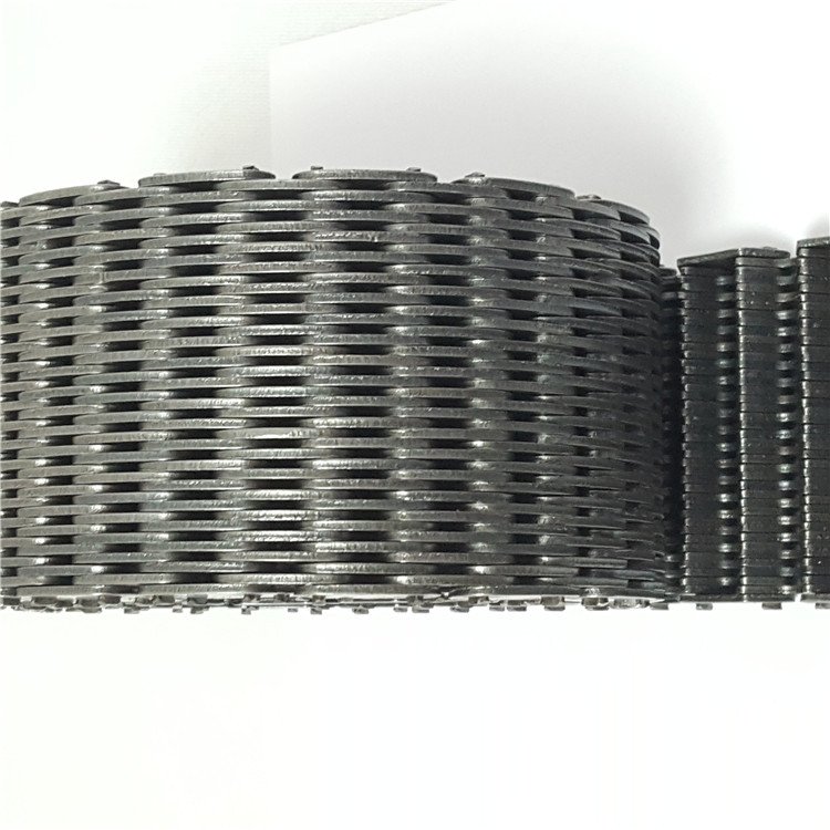 Silent Tooth chain RPV410W
