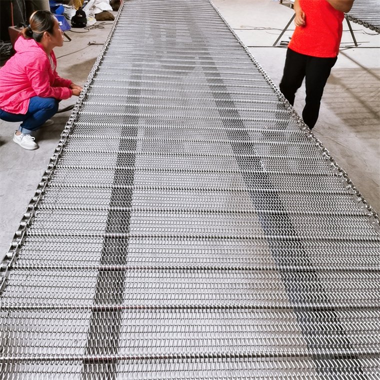 Zhigong roller chain driven conveyor belt for cooling or frozen