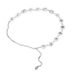 Silver-Z243