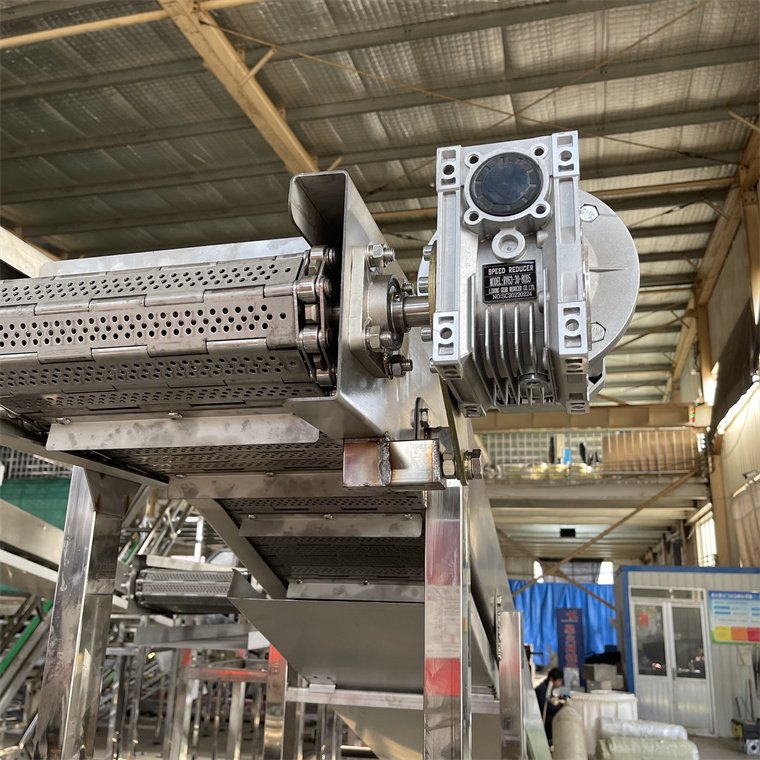 stainless steel chain plate elevator food conveyor