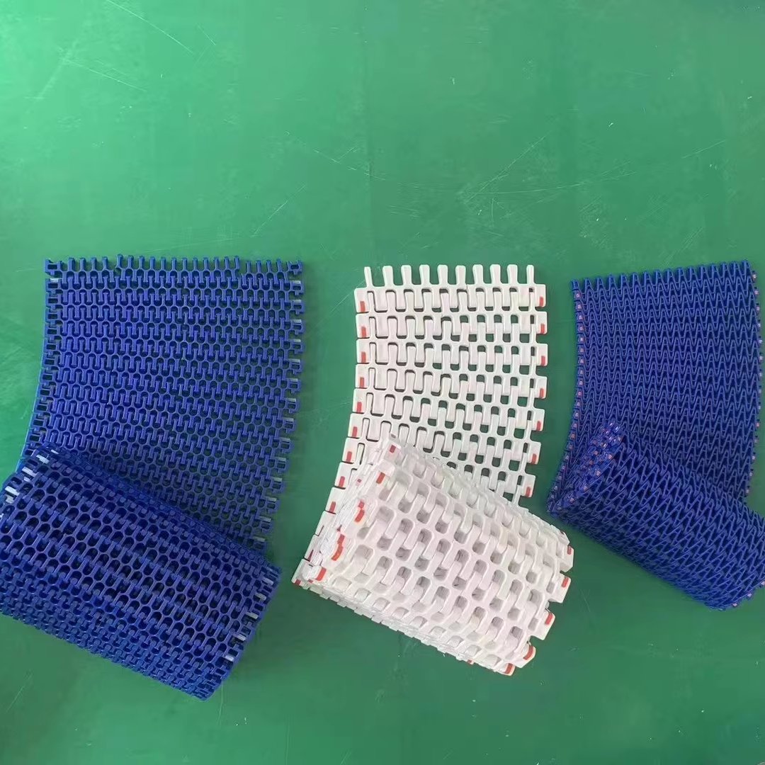 Mesh Belt Conveyor Modular Belt Conveyor with PP Plastic Belt