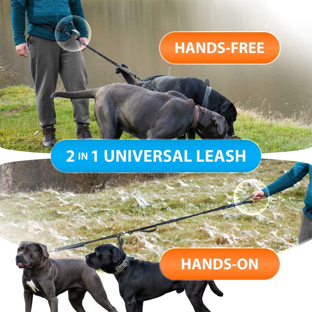 Multifunctional Wholesale Luxury Pull Two Double Head Nylon Reflective Handsfree Hands Free Waist Belt Running Pet Dog Leash