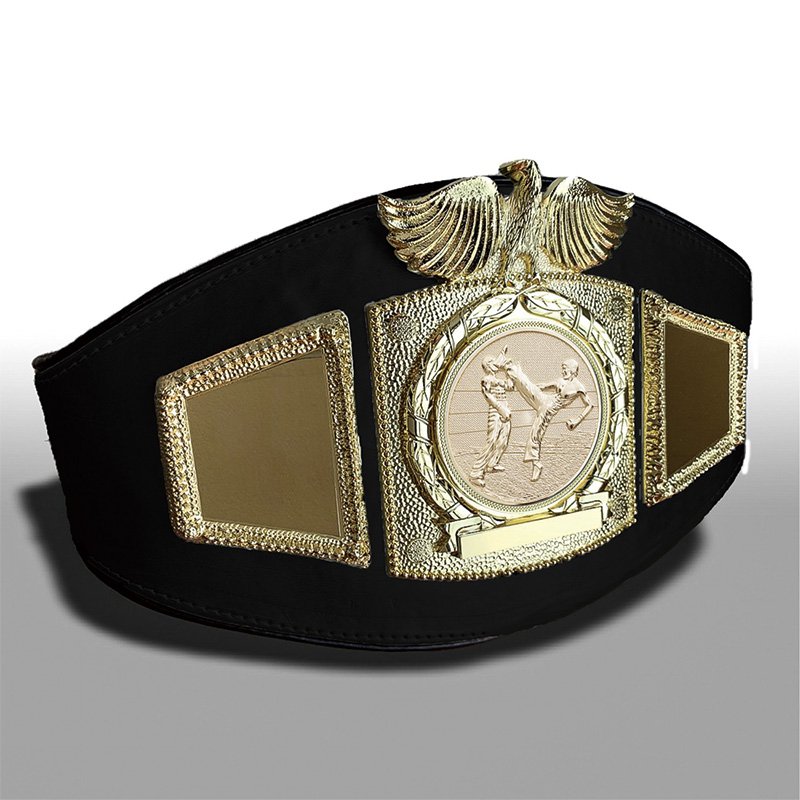 Factory Wholesales Custom Boxing Muay Thai Youth Championship Belts Replica For WBC