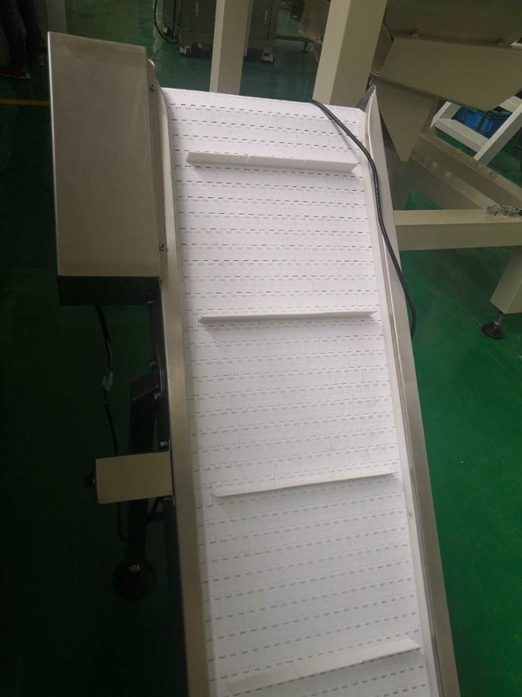 Low cost Take away finished food grain product belt conveyor elevator bag output conveyor