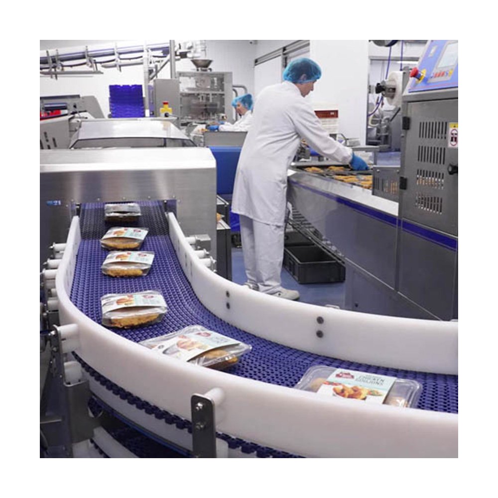 Bifa Multifunctional food multiple use grade Chain Flushable Plastic Mesh Belt Modular Conveyors