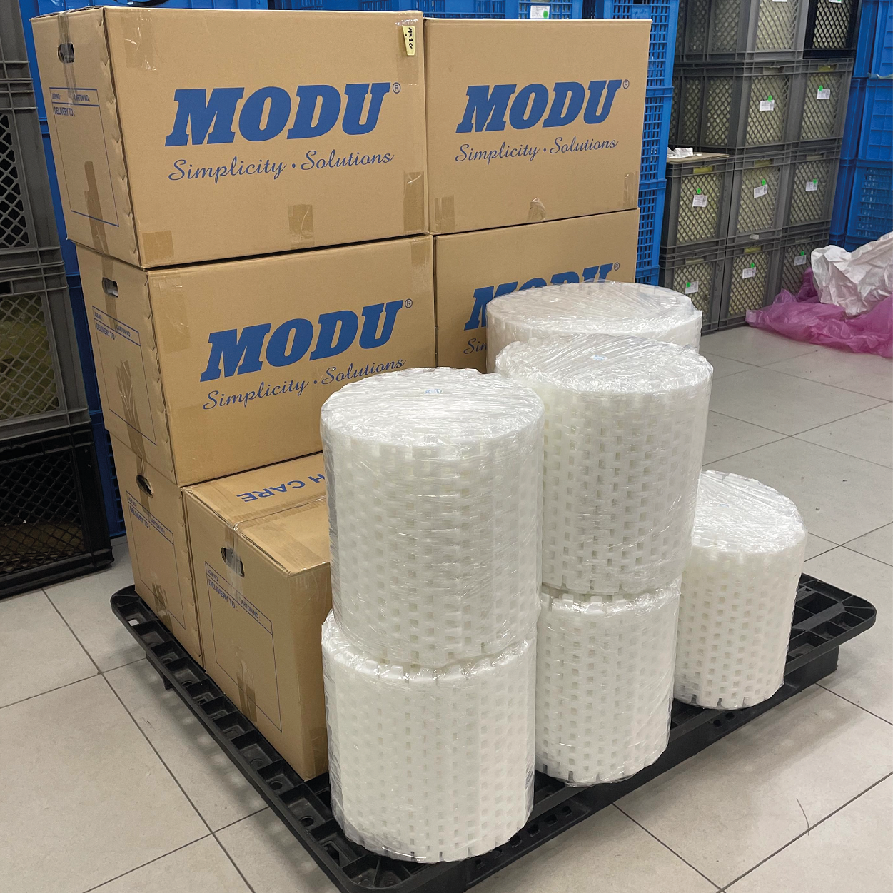 MT2 CP 5 Plastic Belt Conveyor Screw Discharge Wide Curve Plain Belt Polyoxymethylen (POM) Material Food Palletizing Industries