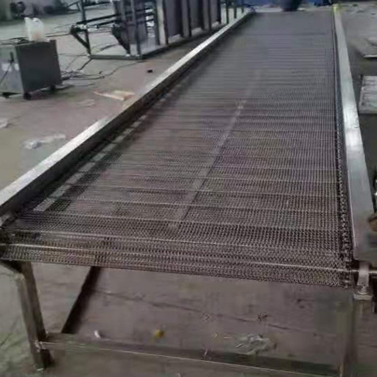 fruit can chain roller chain driven belt conveyor /transportation conveying equipment
