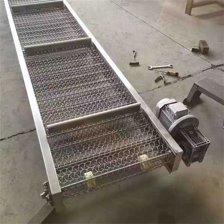 fruit can chain roller chain driven belt conveyor /transportation conveying equipment