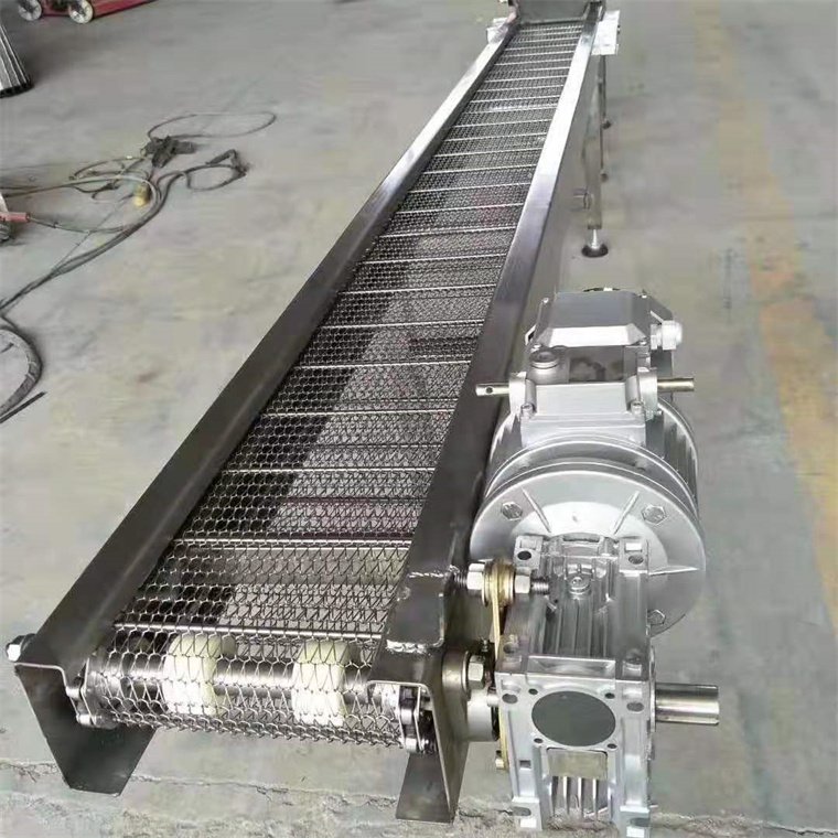fruit can chain roller chain driven belt conveyor /transportation conveying equipment