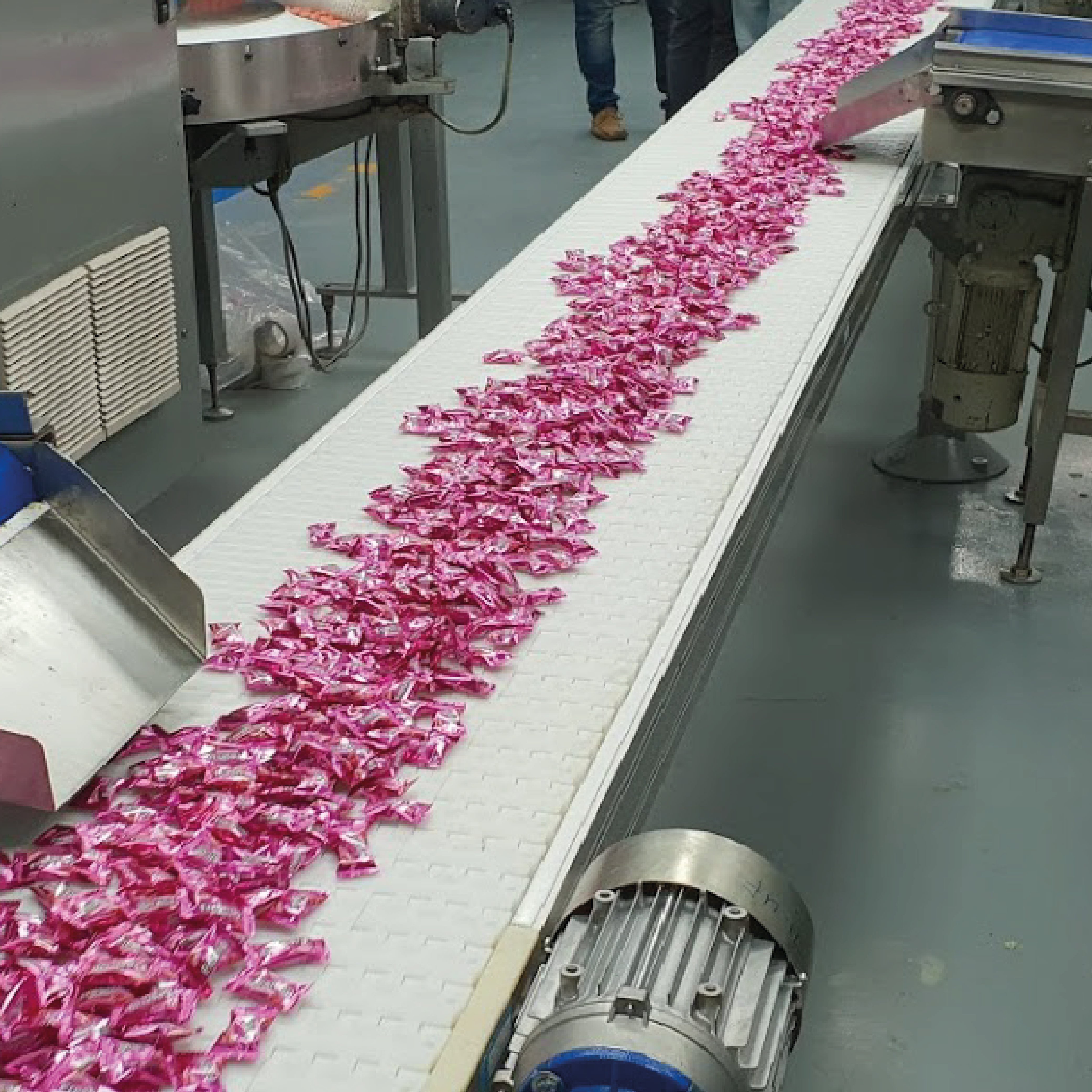 MR2 CP 5 ZG Plastic Conveyor Belt Replacement Straight Plain Belt for Packaging Screw Conveyor Type Chemical Resistant Food Safe