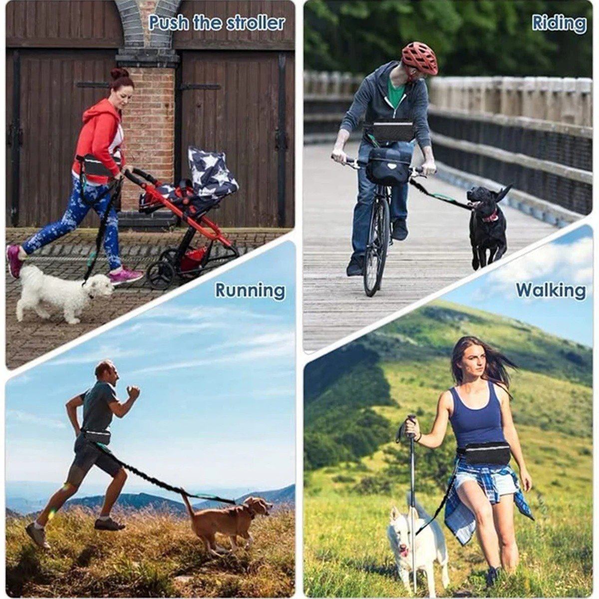 wholesale Reflective Leash Traction Rope Pet Dog Running Belt Elastic Hands Free Jogging Pull Dog Leash Metal D-ring dog Leashes