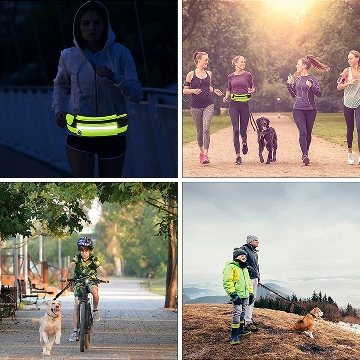 wholesale Reflective Leash Traction Rope Pet Dog Running Belt Elastic Hands Free Jogging Pull Dog Leash Metal D-ring dog Leashes