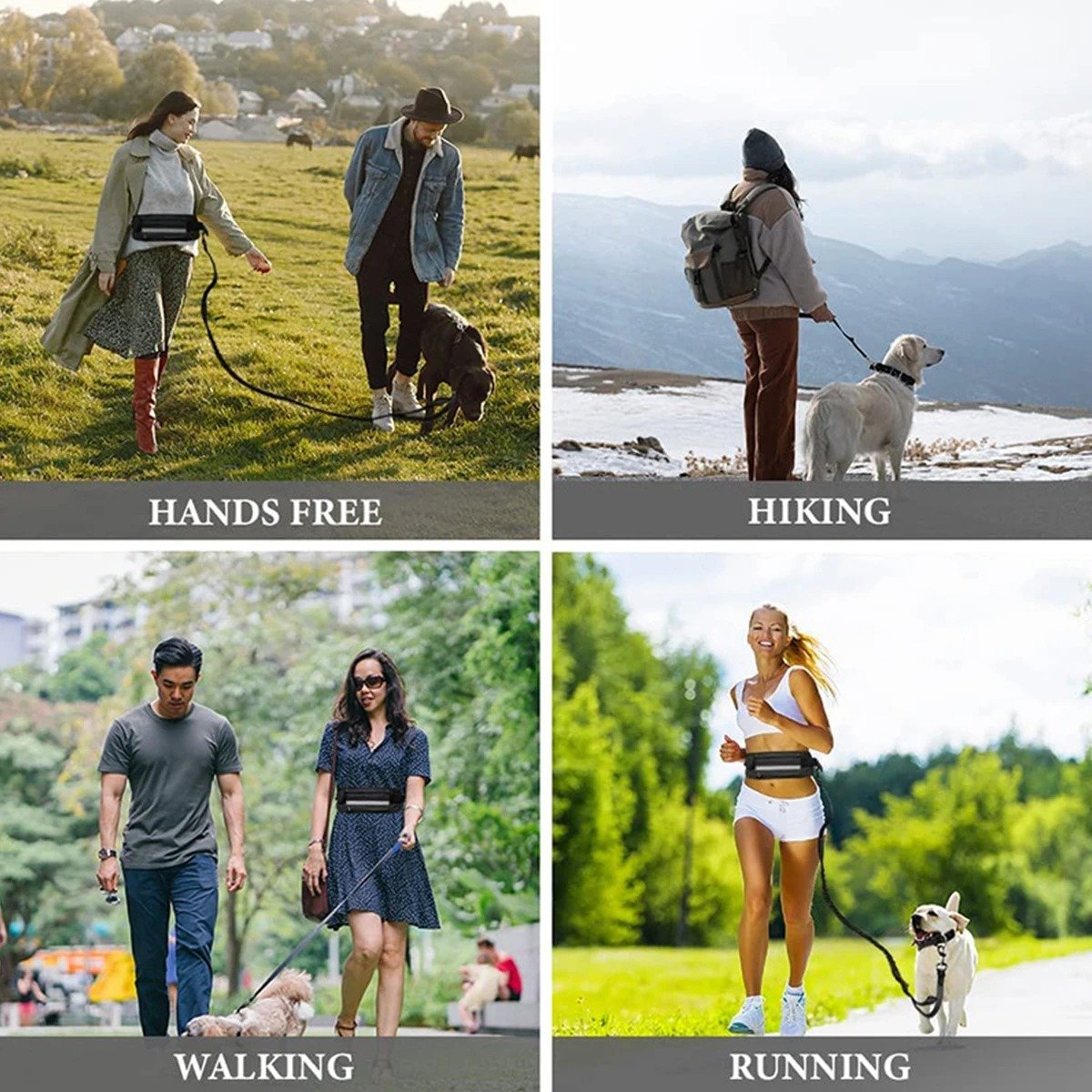 wholesale Reflective Leash Traction Rope Pet Dog Running Belt Elastic Hands Free Jogging Pull Dog Leash Metal D-ring dog Leashes