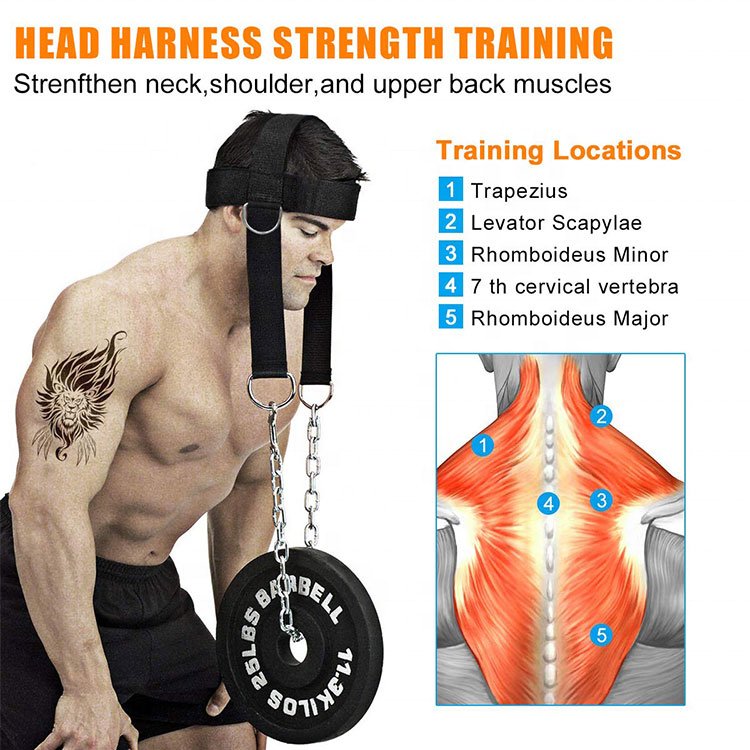 Vigor gower gear Weight Lifting Fitness Belt Chain Strap Weightlifting Head Neck Harness