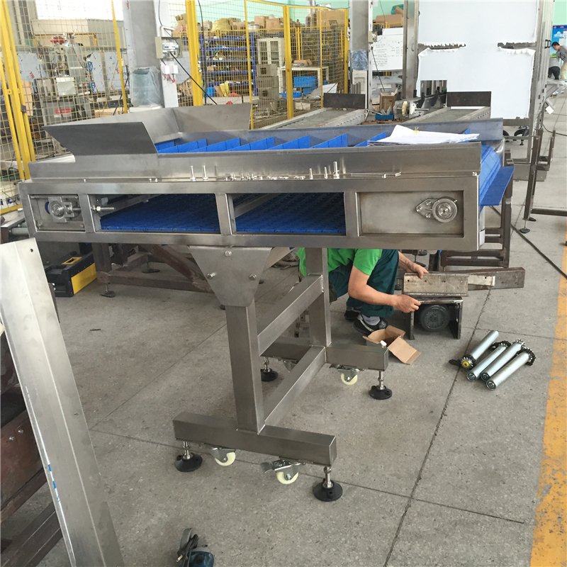 Factory Modular Belts Plastic Mesh Conveyor Belt