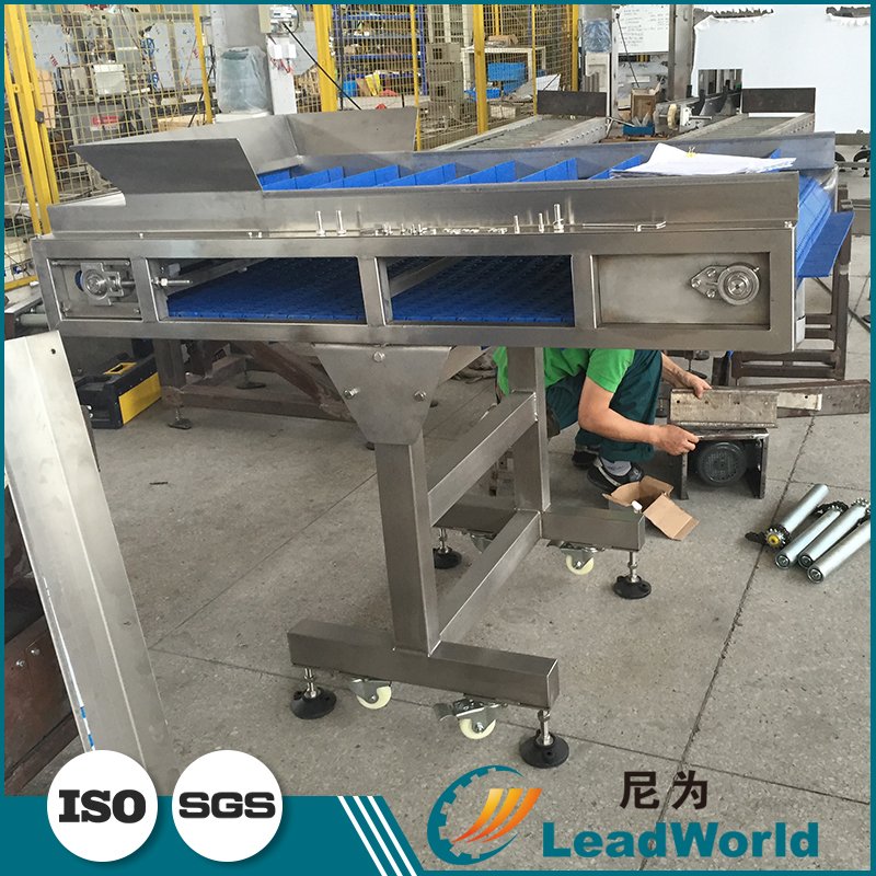 Factory Modular Belts Plastic Mesh Conveyor Belt