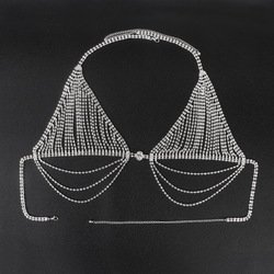 bra-silver