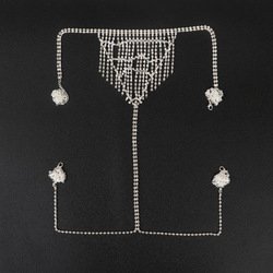 panties-silver