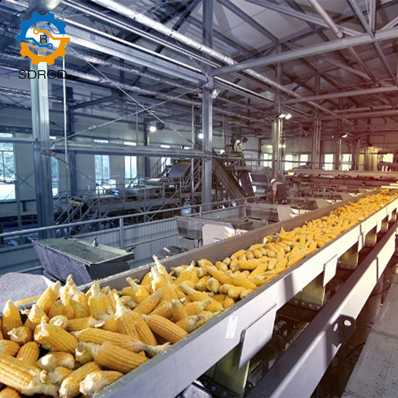 SDROD Brand customized conveyor belt definition conveyor belt grade conveyor belt food near me