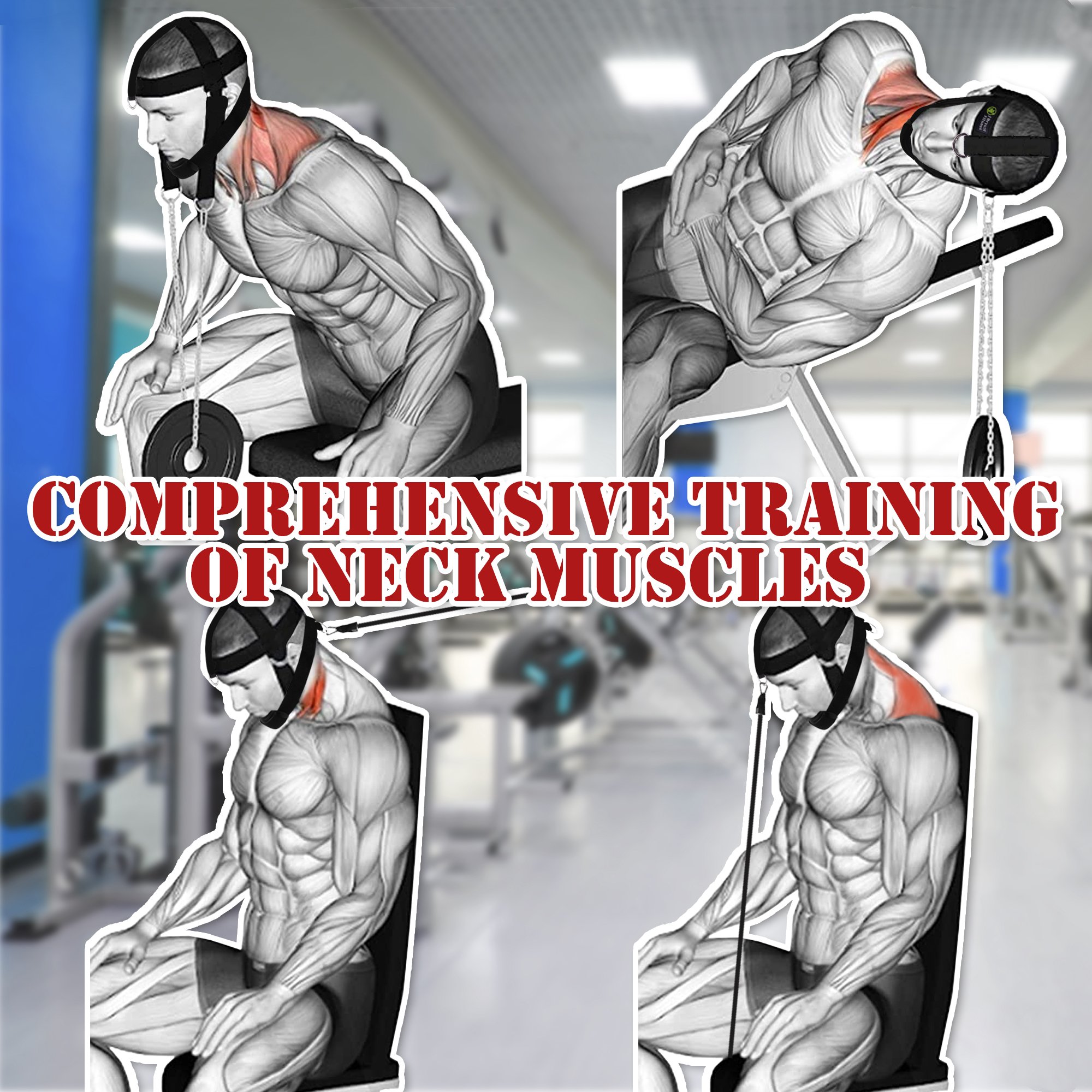 Weightlifting Training Neck Head Harness Chain Belts Neck Support Body Strength Head Harness Fitness Weight lifting Neck Harness