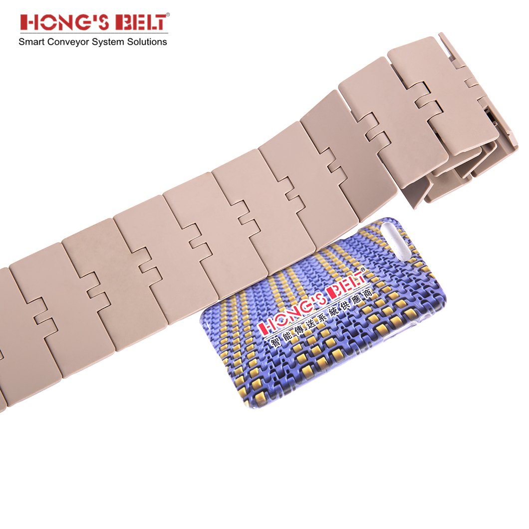 Hongsbelt HS-820-K325 Plastic Chain Conveyor Belt Sushi Chain 820 Chains