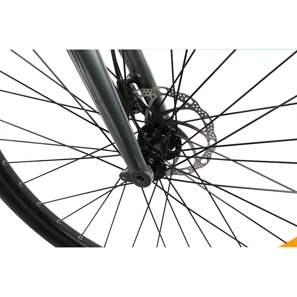 Hidden battery and light off road electric bicycle 250w light weight belt chain city ebike