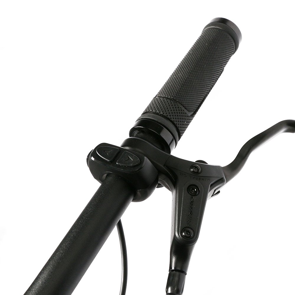 Hidden battery and light off road electric bicycle 250w light weight belt chain city ebike